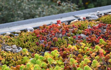 the cost of Drayton Parslow green roof installation