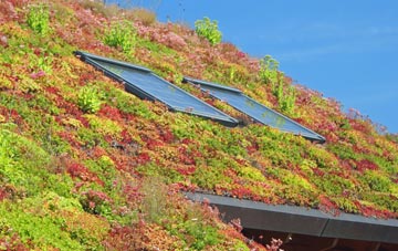 Drayton Parslow living roof systems
