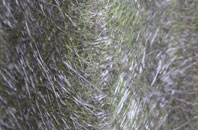 Drayton Parslow fibreglass roof work